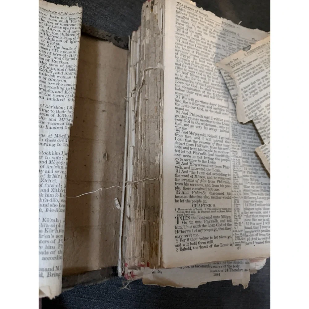 Antique Holy Bible Red Letter International Bible Press Epherma Junk Journal